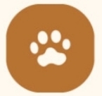 雙11盛典_優惠組合